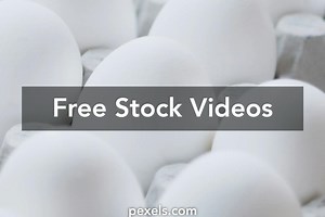 No Color Videos, Download The BEST Free 4k Stock Video Footage & No Color HD Video Clips