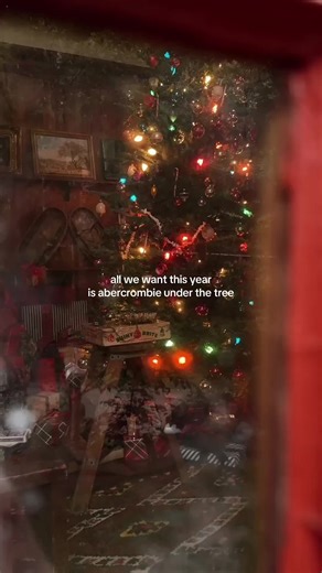 Holiday Gift Guide: Abercrombie Stockings and More