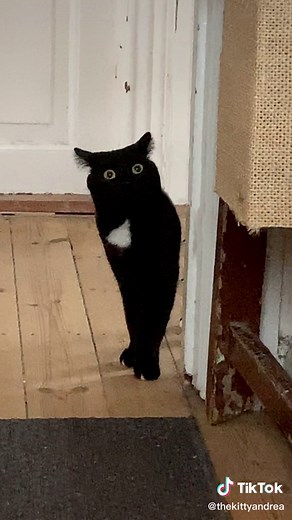 Season Finale of Andrea's Past Lives