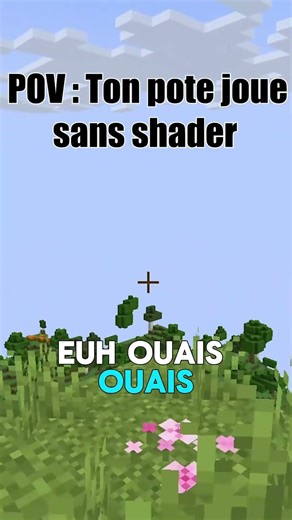 Shaders vs Sans shaders : qui a la meilleure expérience ?