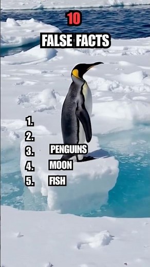 10 False Facts People Still Believe 🤯 Part 2