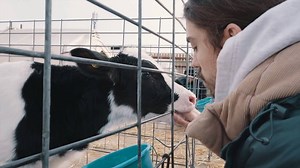 "Our job as vegans and as animal rights activists is just to put the truth out there and show the stark reality of what's happening because what's happening is so horrible it speaks for itself." ~ Earthling Ed | Mercy For Animals