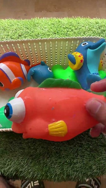 Explore Ocean Animal Names and Fun Facts | Sea Animal Toys | Educational Learning Videos for Toddler