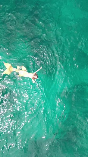 Have you ever dreamed of becoming a mermaid? Well now you can live out your fantasy and glide through the water effortlessly. With 3 different mermaid specialties you can chose the mermaid that fits your personality... and tail the best. To learn more about joining the ever-growing mermaid community head over to our sister-brand @performancefreediving 📸 : SDI Ambassador @Ecobeachbabe via @birds_underwater #sdidivers #pfifreedivers #mermaid #freediving #fantasy | SDI - Scuba Diving International