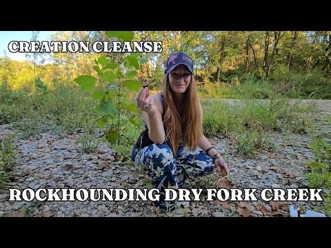 Dry Fork Creek - Rockhounding in Southwest Ohio (ASMR) ~ Horn Coral, Artifacts, Fossils & more!