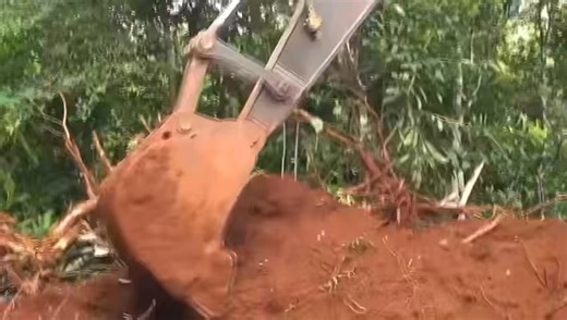 1K views | Element 28 trabaja en Guatemala con una visión clara:...