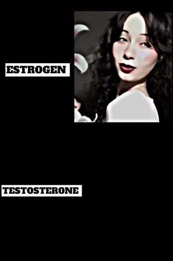ESTROGEN vs Testosterone #meme #funnymemes #funny #fypyoutube #fypshorts #fypviral