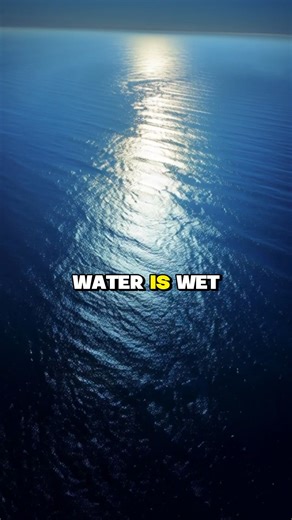Is water actually wet… or does it only make things wet? Choose your side. Explain why. #DidYouKnow #Science #factsyoudidntknow #factsdaily #interestingfacts #generalknowledge #Mindblowing #funfacts #factreels #facebookreel #viralreel | Sophos Facts