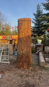 191K views · 12K reactions | Christmas tree carving - Timelapse #husqvarna #3m #christmas #weihnachten #christmastree #weihnachtsbaum #christbaum #weihnachtszauber #weihnachtsfeier #weihnachtsstimmung #weihnachtsdekoration #deko #dekoration #stimmung #peacful #friedlich #frieden #jesus #chainsawcarving #art #sculpture #artist #wood #chainsawart #kettensägenschnitzen #husqvarnacarvingteam #chainsawman #woodworking #woodwork #woodworking_art | Chainsaw Art - Micha Reichert | Facebook