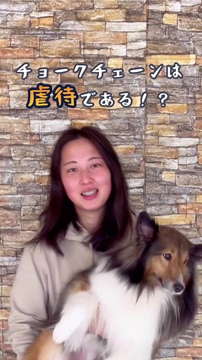 チョークチェーンの適切な使用方法と効果 | 犬のしつけ方法