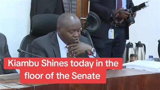 Kiambu's Impressive Progress Under Governor Wamatangi