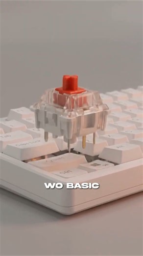 Hall Effect VS Mechanical Keyboard Switches!