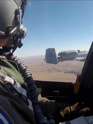 Wissenschaftliche Prinzipien in Deutschland Erforschen