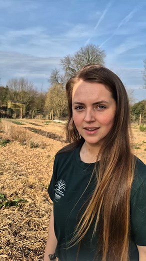 24K reactions · 29 shares | Guys take notes   #Easter #eggs #chickens #chickencoop #organic #homegrown #growyourownfood | Blooms&Greens by Chloe | Facebook