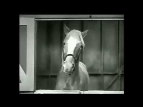 Mr. Ed Show Opening and Theme Song The Good Old Days Part 21