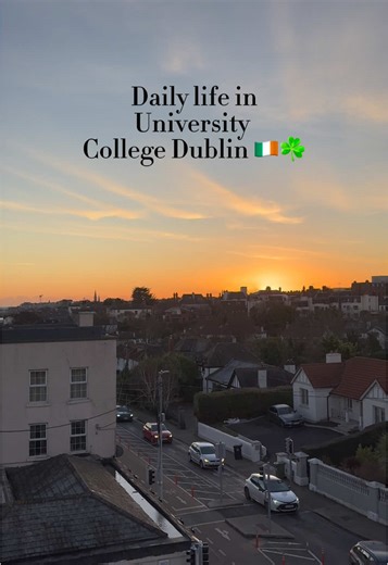 First Year Computer Science Experience at UCD