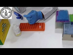 DNA Extraction from Bacteria and Fungl