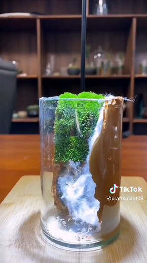 Creating Bonsai Moss Micro-Landscapes: Plant DIY Ideas