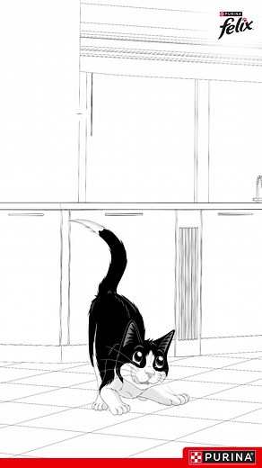 The cat food that gets him hopping every time? It’s gotta be FELIX®! | PURINA Philippines