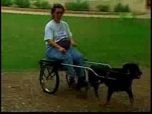 Breed All About It - Working Group