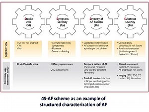 Highlights on AF guidelines part 1, Dr Sherif Altoukhy