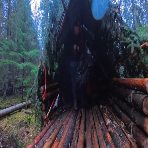 3 Days Bushcraft Camp in the Forest _ Building a Wooden Shelter _ Throne + Overnight_Part016 | Off-Grid Adventures | Facebook