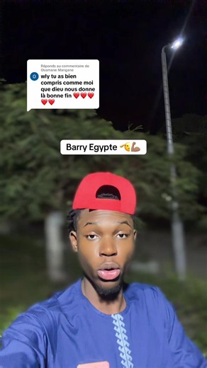 Réponse à Ousmane Mangane — Barry Égypte