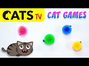 CAT BALLS GAME 🙀 Multicolor toys in 4K 🎶🔔 3D Sound [CAT TV]