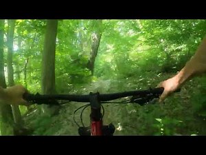 OECR - Primitive Loop