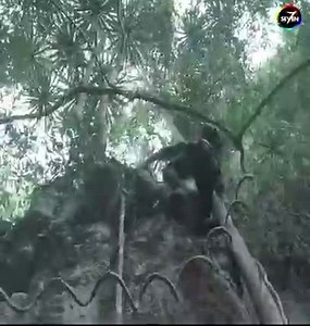 Best Scene Moive 2021 | F1 Media