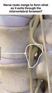 29K views · 376 reactions | Need fast relief from sciatic pain? These simple sacroiliac joint exercises can help reduce inflammation, improve mobility, and ease nerve pressure in your lower back and legs. Perfect for those struggling with SI joint dysfunction, sciatica, or pelvic instability. Follow along and feel the difference! | Spine-health | Facebook