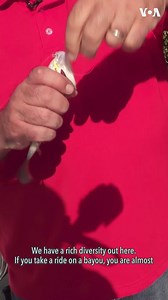 VOA CONNECT: Dr. Quenton Fontenot, the Head of Biological Sciences at Nicholls State University, talks about the effects of climate and coastal waterway change in Louisiana. We also learn about his Cajun heritage. | Voice of America