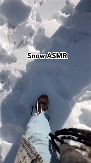 ASMR snow walk NYC park