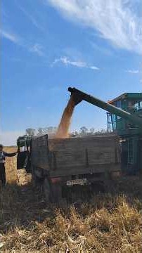 What is going on 😮😮😮 #agrotechnology #farming #agriculture