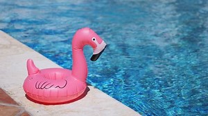 Inflatable Toy Pink Flamingo Near Swimming Stock Footage Video (100% Royalty-free) 1024651046 | Shutterstock