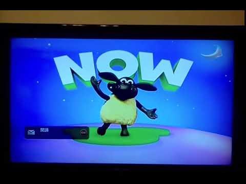 Partial Timmy Time Now Bumper (Nighttime) - Disney Junior Asia