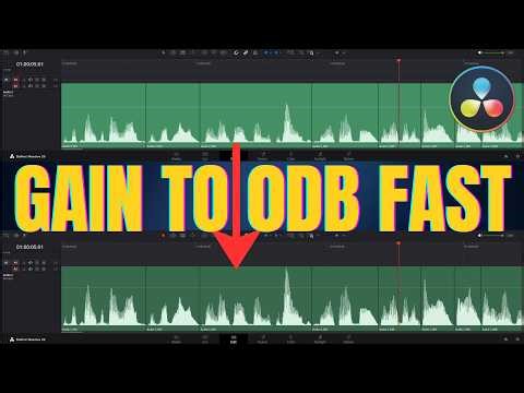 Increase Audio Level to 0 dB in DaVinci Resolve — Quick Normalize Tip