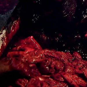 There will be blood. And clowns. And mice. It’s all happening this Sunday on brand new season of #FearFactor, premiering 7/6c on MTV! | Fear Factor