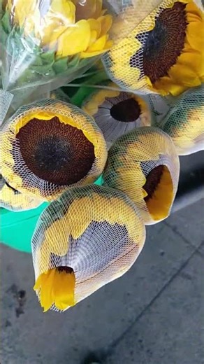 🌈🎉 Sunflower 🌻🌈#trending #satisfying #shorts #shortvideo #viral #viralvideo #asmrsounds