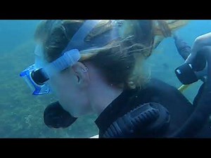 Discover scuba diving in Bahia