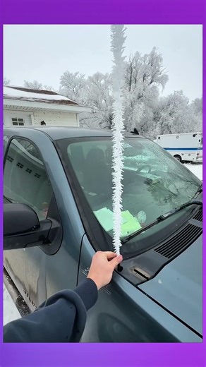 This car’s radio antenna is frozen solid, looking just like a piece of snow-covered ice.