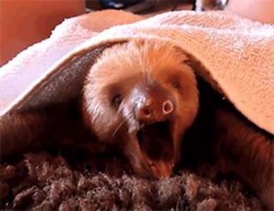 36K views · 347 reactions | Parce qu'on connait tous quelqu'un qui va...