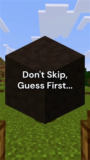 Only Real Minecraft Players Can Guess This Block 😈 | Guess The Block Challenge