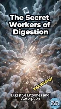 The Hidden Power of Digestive Enzymes Explained!
