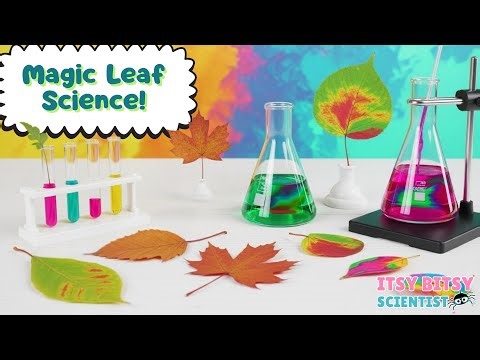 Magic Leaf Chromatography for Little Scientists! | Botany for Kids