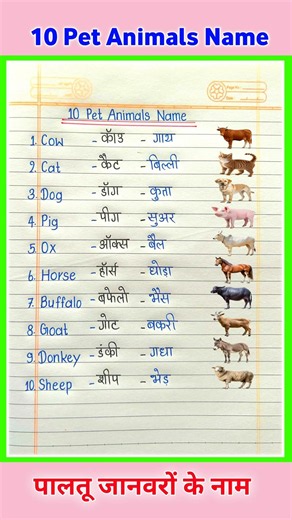 10 Pet Animals Name in English and Hindi | Pet Animals Name in English | पालतू जानवरों के नाम
