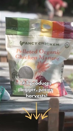 5 Fruits That Thrive with Organic Chicken Manure
