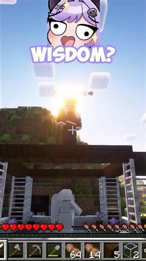 SUVI FINDS MINECRAFT BOYFRIEND!