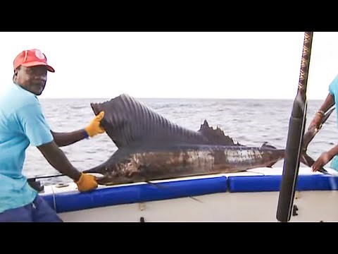 Fishing adventure in Kenya | Documentary