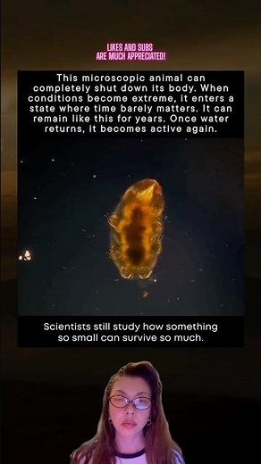 The Tiny Animal That Can Survive Space